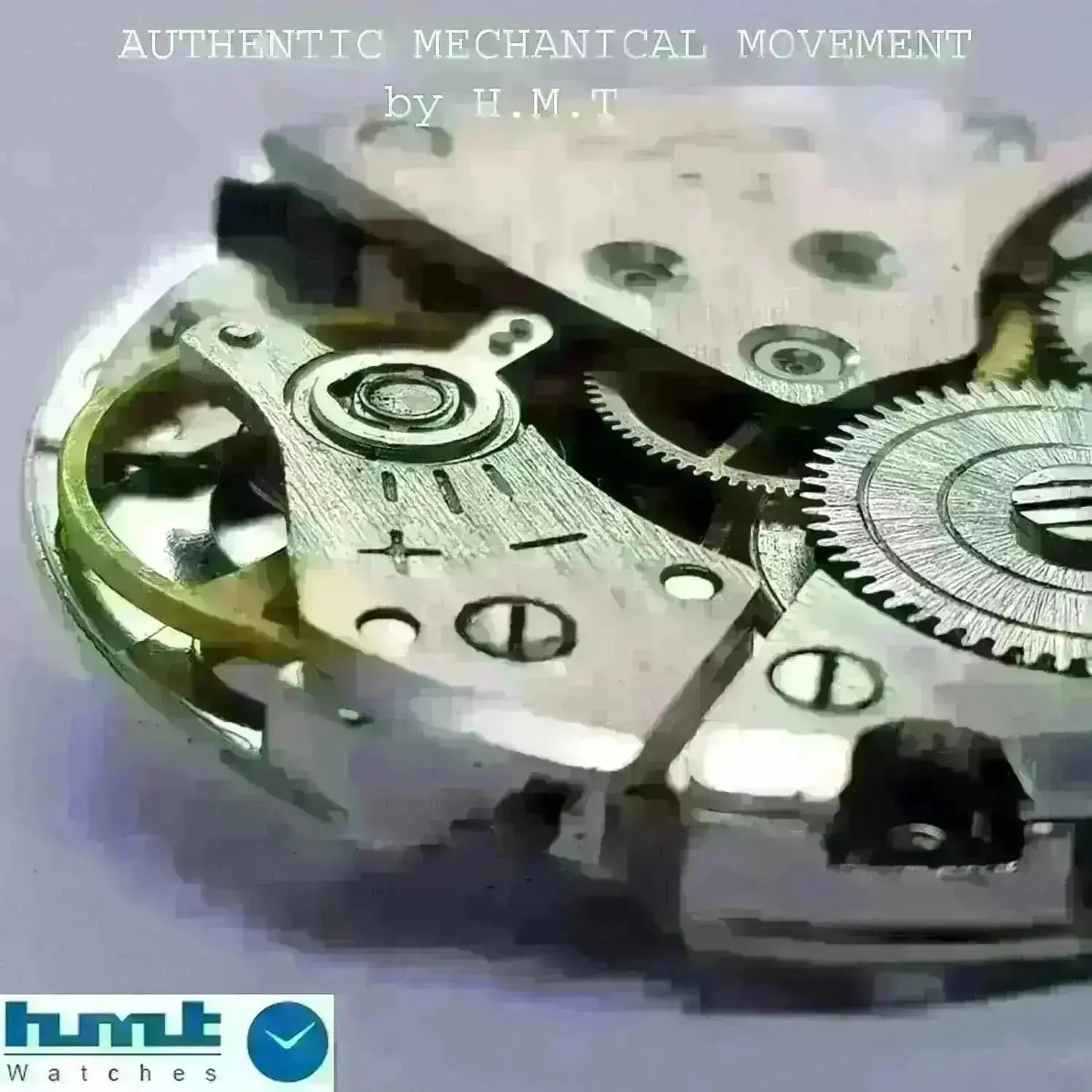 HMT Himalaya Para Shock 17 Jewels Radium Hands Gray Dial Transparent Back Mechanical Hand winding Men's Wrist Watch Discover-Diamonds