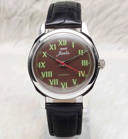 HMT Janata Roman Numerals Brown Dial Handwinding Watch with Transparent Back