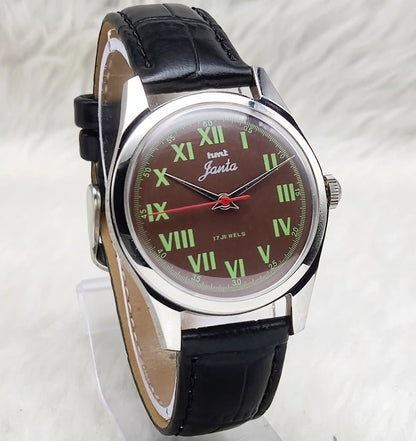 HMT Janata Roman Numerals Brown Dial Handwinding Watch with Transparent Back