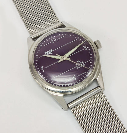 HMT Janata Para Shock 17 Jewels Purple Dial Mechanical Hand winding Men's Wrist Watch - Discover-Diamonds