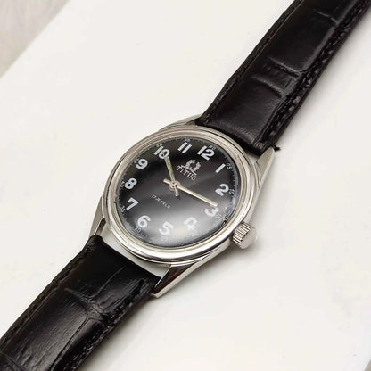Titus 17 Jewels Incabloc Silver Dial Stick Indices Men's Watch